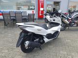 Honda PCX 125 1. Hand TÜV & Inspektion NEU! - HONDA PCX