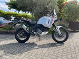 Ducati Desert X 2023 Versand ab 299€ - DUCATI X DESERT