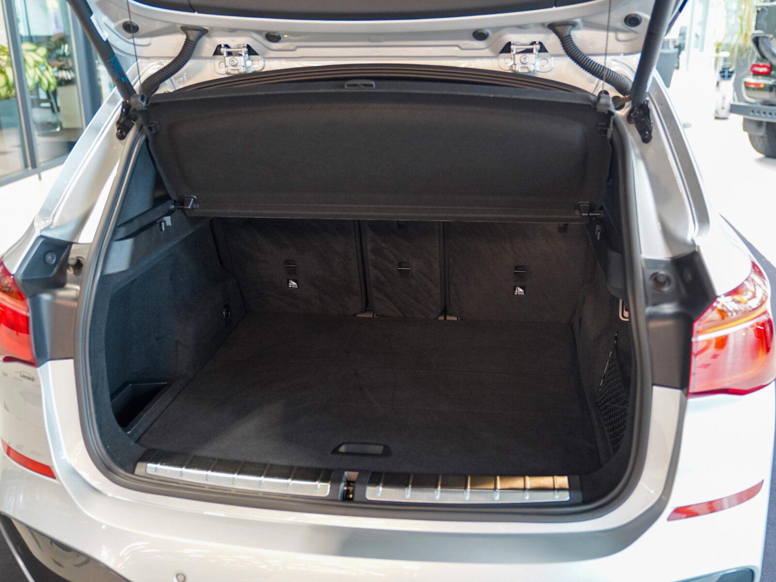 BMW X1 sDrive18i M Sport 19" Anhängekupplung Kamera
