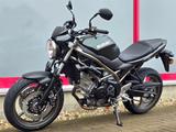 Suzuki SV650 Mod. 2025, 35kw für A2, sofort verfügbar - Angebote