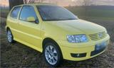Volkswagen Polo 6N2 Color Concept - Volkswagen Polo: Concept
