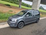 Volkswagen VW Caddy Maxi 7 Sitzer Roncalli Camper, ke... - Volkswagen Caddy Maxi: Roncalli
