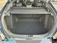 Honda Civic - Vorschau Bild 6