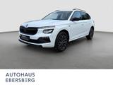 Skoda Kamiq Tour Selection 1.0 TSI Assist Nav virtual - Skoda Kamiq Jahreswagen