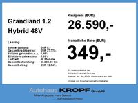 Opel Grandland (X) - Vorschau Bild 4