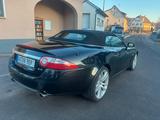 Jaguar XK 4.2L V8 Cabriolet - - Jaguar XK: Cabrio
