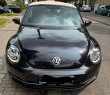 Volkswagen VW New Beetle Cabrio 50's Edition - VW New Beetle Gebrauchtwagen in Berlin
