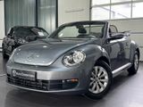 Volkswagen Beetle Cabriolet | WINDSCHOTT | KLIMA | SHZ | SH - : Cabrio, Windschott