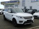 Land Rover Range Rover Sport HSE | XENON | R.KAMERA | AHK - Land Rover Range Rover Sport: Weiß