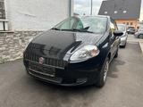 Fiat Punto 1.4 8V Active - Fiat Punto mit Benzin-Antrieb: Active