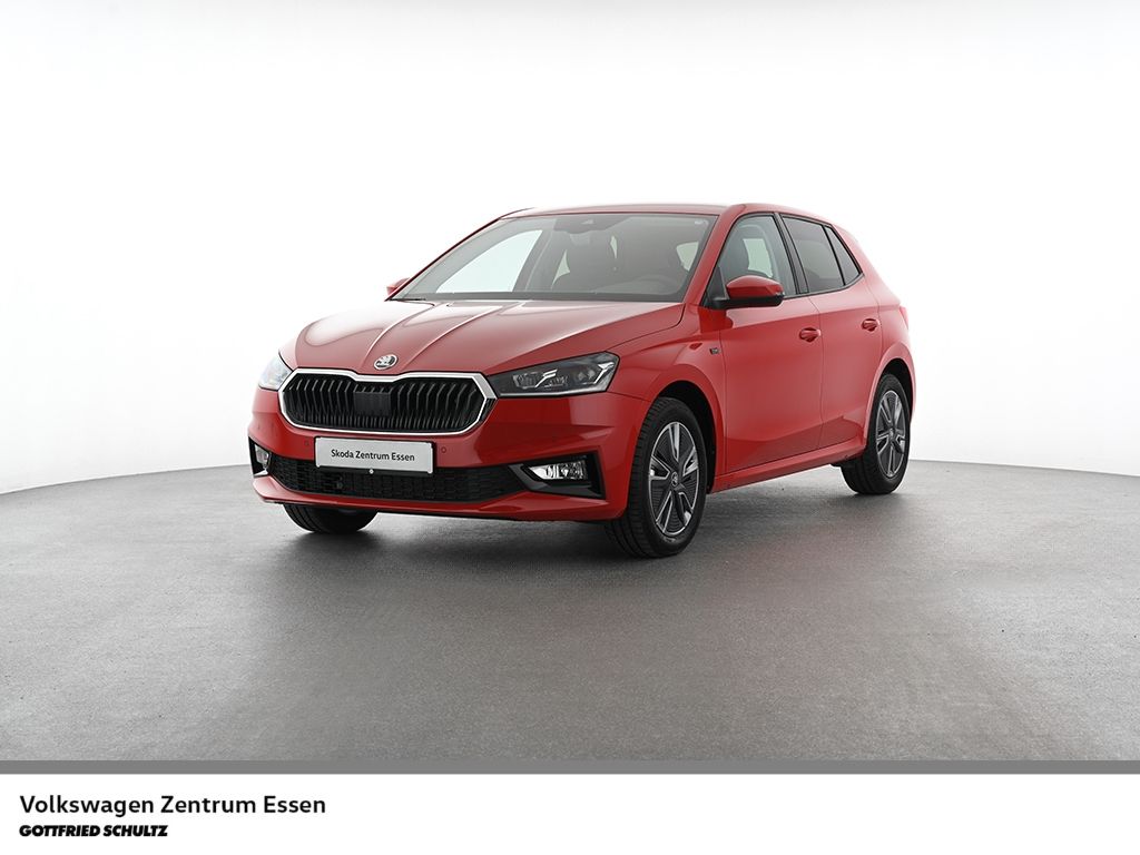 Skoda Fabia Tour TSI LED R-Kamera Sitzhzg PDC