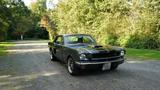 Ford Mustang V8 289 Coupé Shelby Style H-Kennzeichen - Ford Mustang aus 1965: Coupe