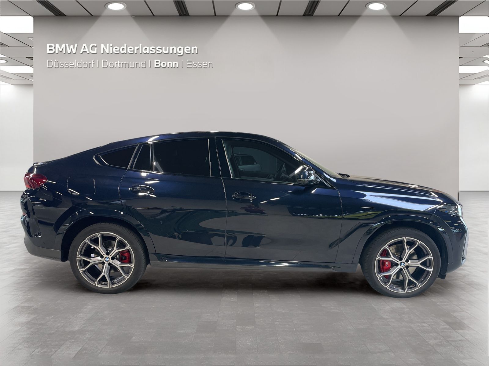 BMW X6 xDrive30d M Sport AHK Driv.Assist.Prof LED foto 4