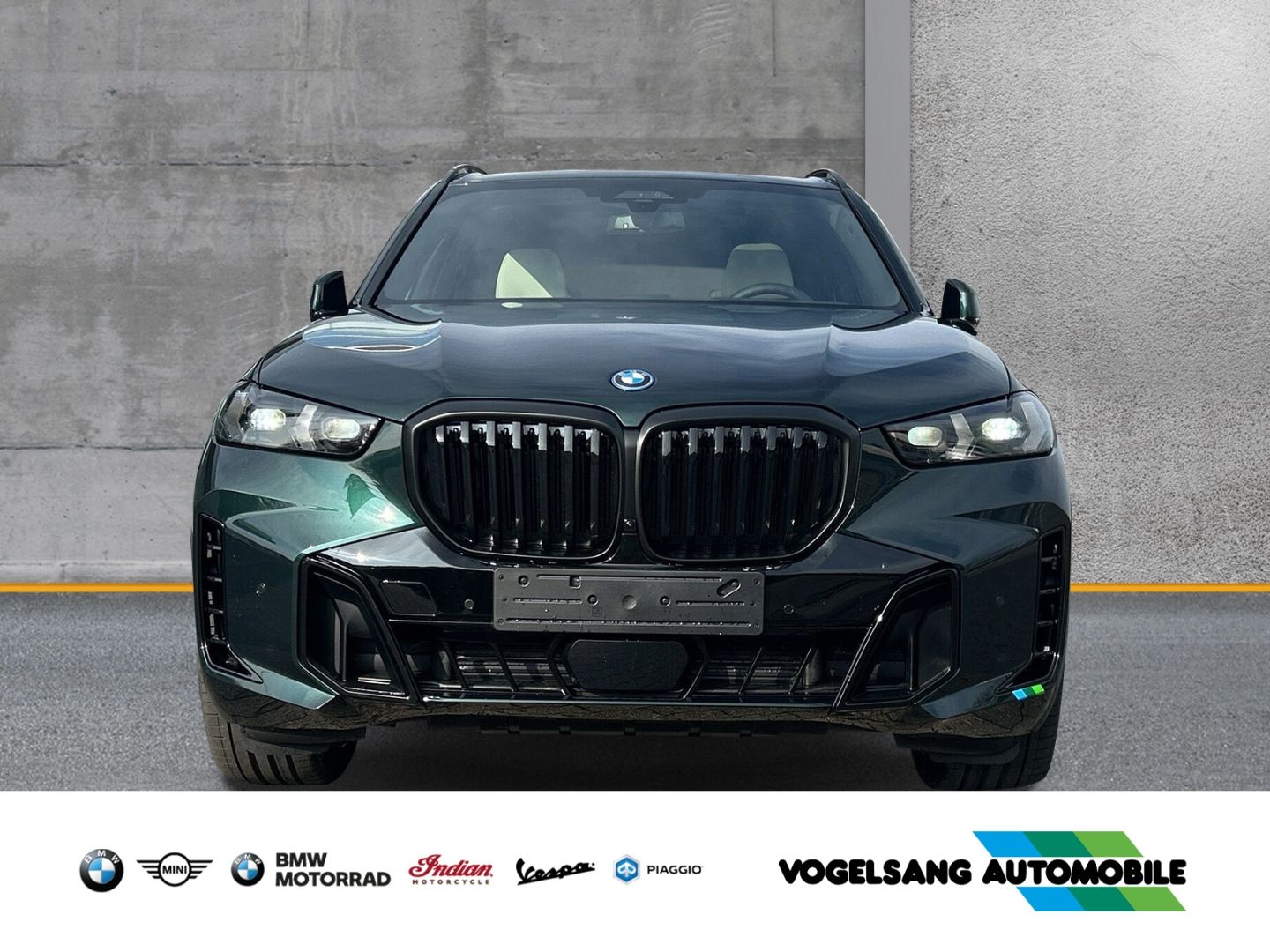 Fahrzeugabbildung BMW X5 xDrive50e M Sport Pro Park-Assistent Pano AHK