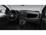 Fiat Panda (Pandina) Icon Hybrid Klimaanlage Parkpilo - Fiat Panda Neuwagen mit Benzin-Antrieb