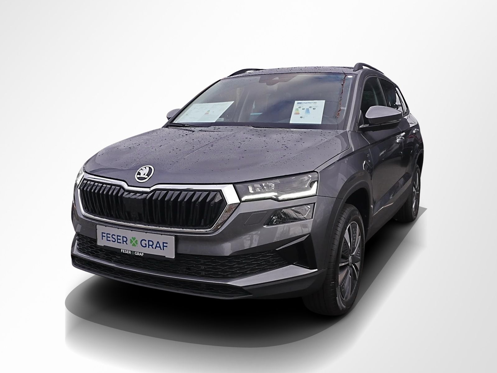 Skoda Karoq - Bild 13