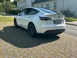 Tesla Model Y Performance Dual Motor AWD Performance - Tesla Model Y Dual Motor Gebrauchtwagen