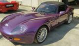 Andere Marcos Mantaray v8 - Andere aus 1999
