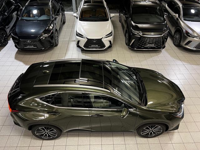 Lexus NX 350 - LUXURY-4 WD-MARK L.-HUD-360 C.-PANORMA