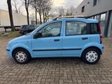 Fiat Panda 1.2 Active - Fiat Panda: Active