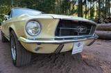Ford Mustang GT STYLE V8 Automatik - TüV / H - gebrauchte Ford Mustang aus dem Jahr 1967