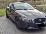Jaguar XF 2.2 L Diesel - Scheckheftgepflegt bei Jaguar - gebrauchte Jaguar XF aus dem Jahr 2014