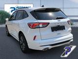 Ford Kuga Plug-In Hybrid ST-Line AHZV+LED+KAMERA+HEAD - Ford Gebrauchtwagen in Chemnitz