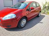Fiat punto - Fiat Punto Gebrauchtwagen in Köln