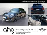 MINI Cooper Aut. Panorama Chili Klimaaut. Sportsitze  - MINI Cooper aus 2019