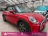 MINI Cabrio Cooper  Classic Trim|LED|PDC|DCT - rote MINI Cooper Cabrio