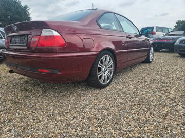 BMW 318 - 5