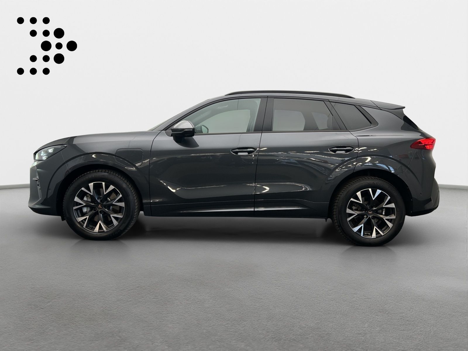 Cupra Terramar - Bild 5