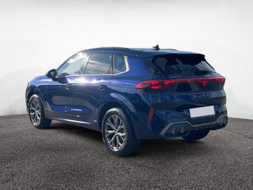 Cupra Terramar - 5