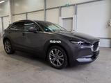 Mazda CX-30 e-SKYACTIV-X 2.0 DRIVE SELECTION HUD RFK A - Mazda CX-30 Gebrauchtwagen in Frankfurt