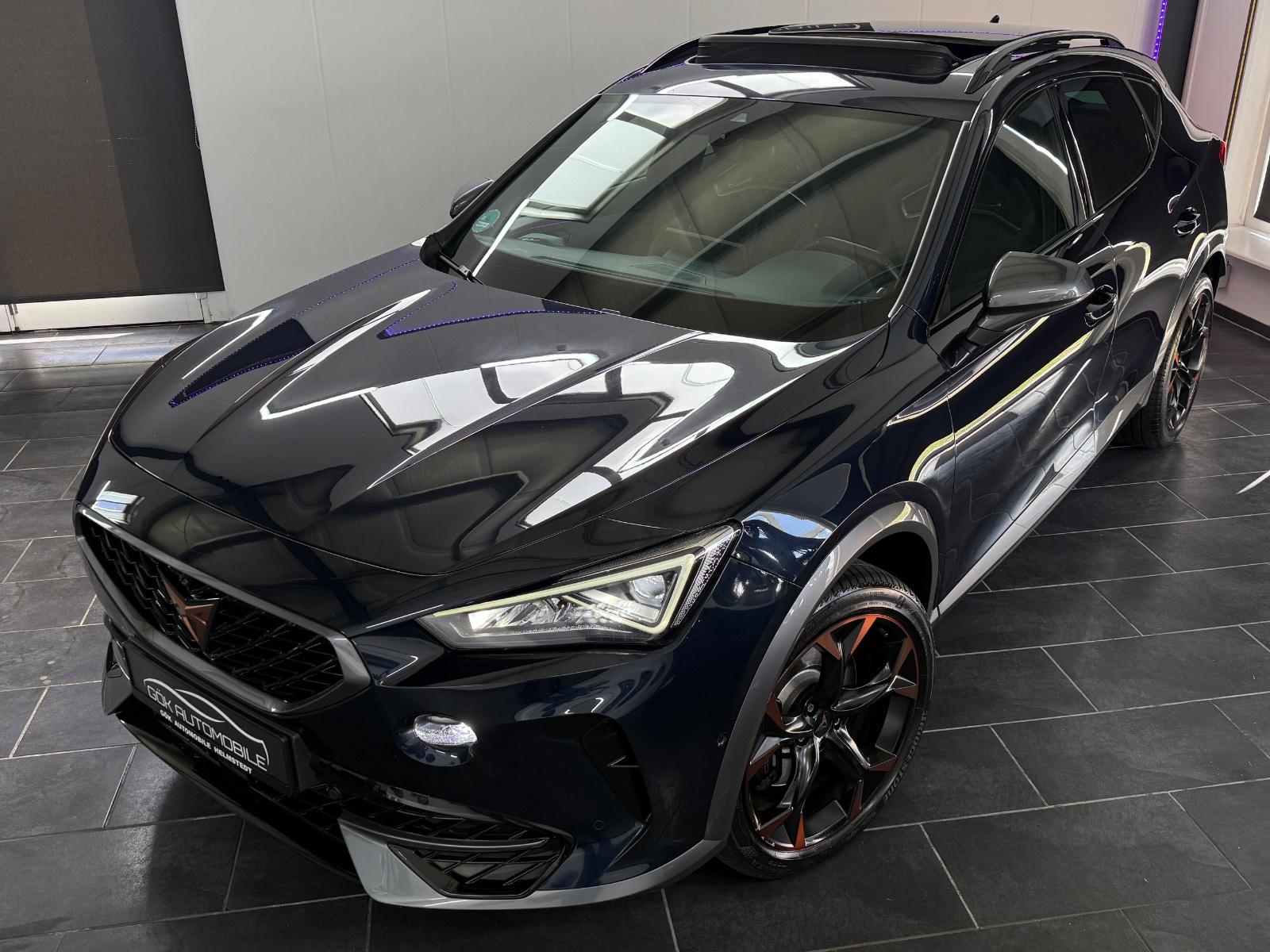 Cupra Formentor VZ 4Drive SCHALENSITZE*CARBON*360*PANO, миниатюра 2