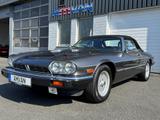 Jaguar XJS 12 Zylinder Cabrio H. Zul. HU Neu - Jaguar in Osnabrück