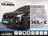 Cadillac XT4 350T Sport Voll-Leder Voll-LED Panorama AHK  - Cadillac: Sport