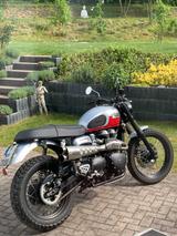 Triumph Scrambler 900 Einzelstück, Öhlins, Zard, Alutank - TRIUMPH 900 SCRAMBLER