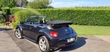Volkswagen Beetle 1,6 United/New Beetle - VW Beetle von privat