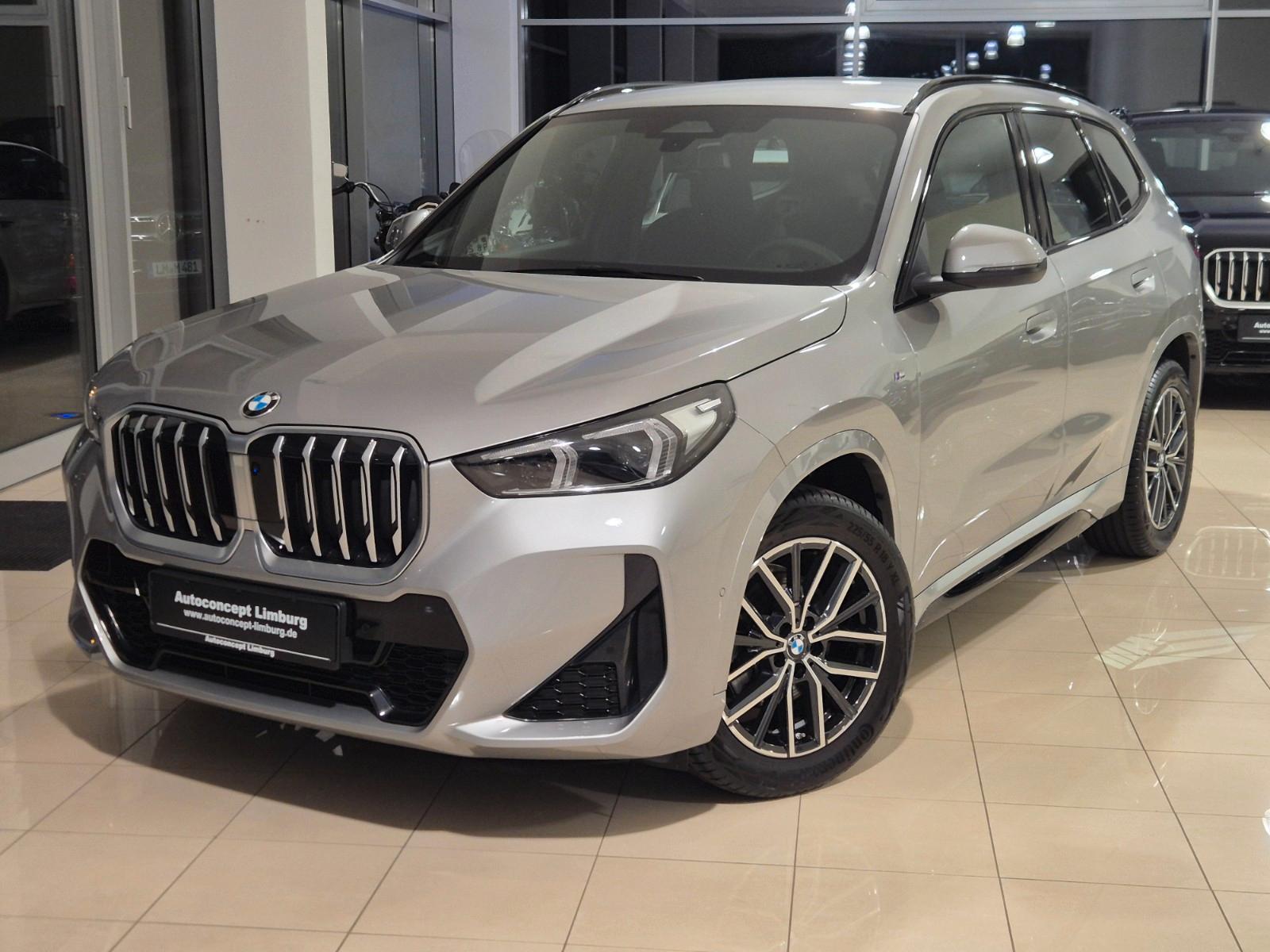 BMW X1 18 i sDrive M Sport,R-CAM,LED,Facelift