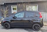 Fiat New Panda 1.2 8V - - Fiat New Panda in Essen