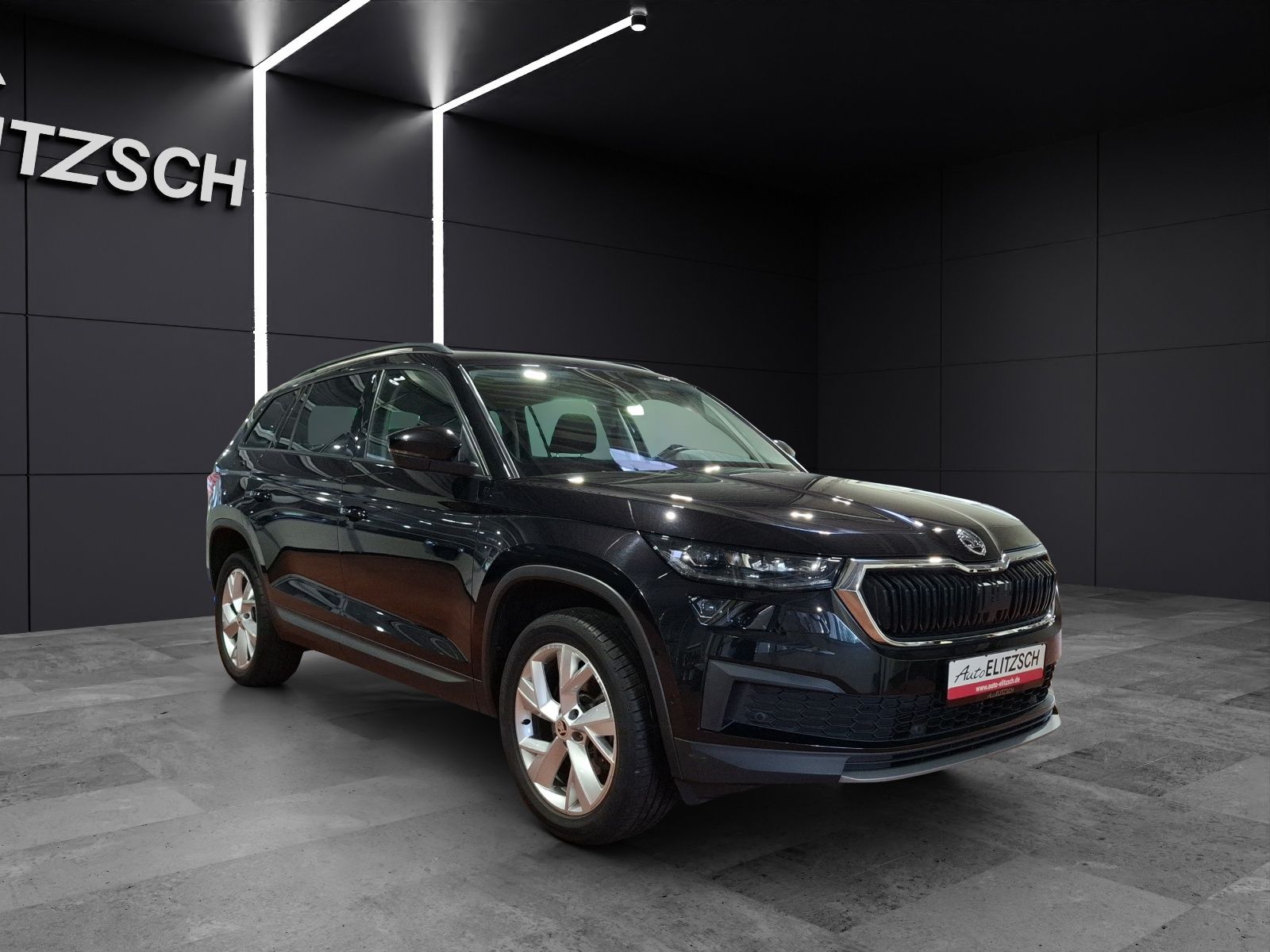 Fahrzeugabbildung SKODA Kodiaq TSI Tour DSG 4x4 Standhzg. Matrix AHK Nav