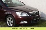 Skoda Octavia 1.6 TDI Family  Klimat/Pdc/Shz/1Hand/Alu - Skoda Octavia aus 2012 mit Diesel-Antrieb: Limousine
