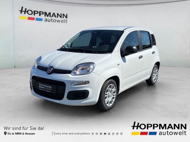 Image of Fiat Panda