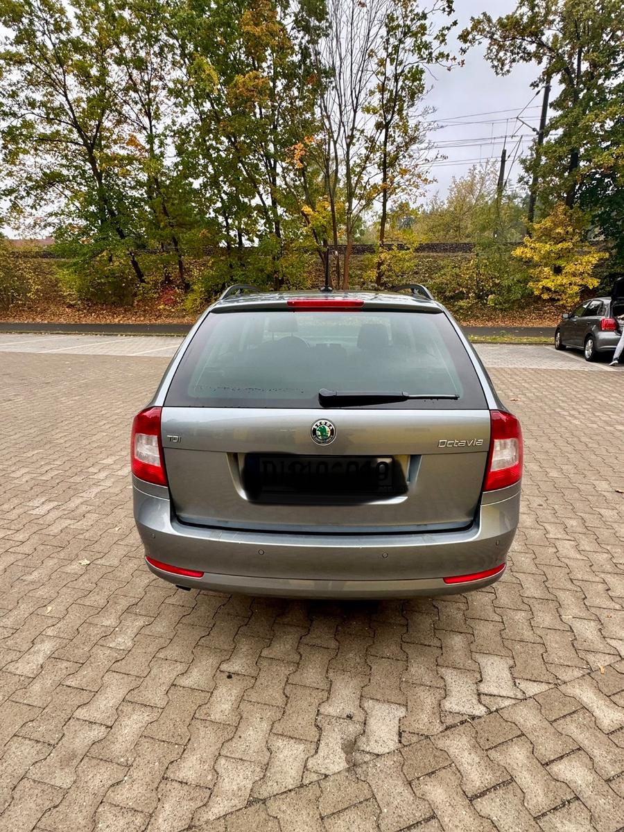 Skoda Octavia 1.6 TDI Elegance Combi Elegance