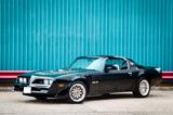 Pontiac Firebird Trans-Am Bandit Restomod - Pontiac: Trans