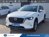 Mazda CX-60 PHEV Exclusive-Line AHK, Kamera, Allwetter - Mazda CX-60 Plug-in Hybrid (PHEV) Gebrauchtwagen