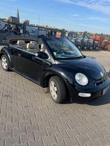 Volkswagen New Beetle 2.0 Cabriolet Standard - Volkswagen New Beetle Standard mit Benzin-Antrieb