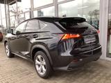 Lexus NX 300h E-FOUR Luxury Line - Lexus NX Luxury-Line