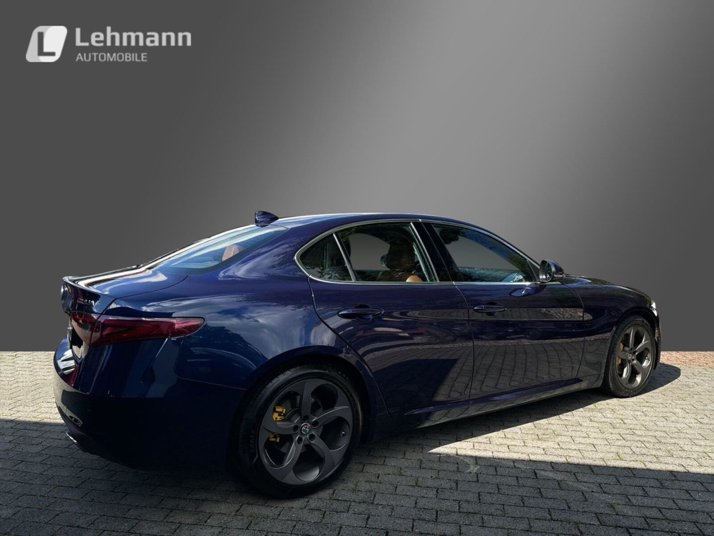 Fahrzeugabbildung Alfa Romeo Giulia Super 2.0 Turbo 16V - Sportauspuff